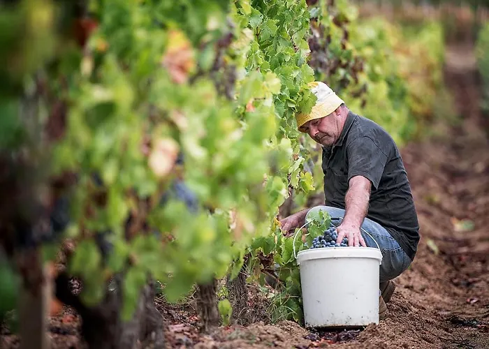 Mandrolisai Doc 公寓