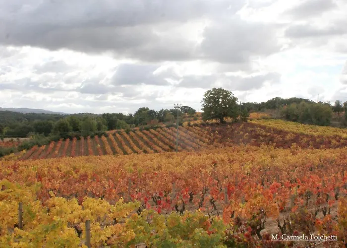 公寓 Mandrolisai Doc *