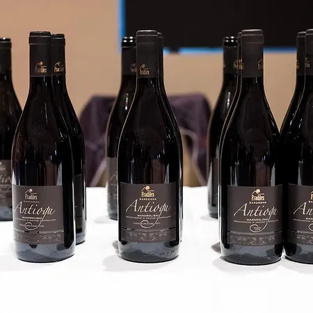 Daire Mandrolisai Doc Atzara