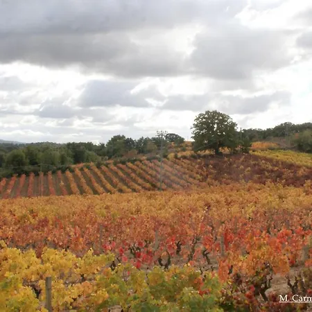 Daire Mandrolisai Doc *